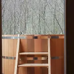 Domaine De Ribeaugoutte Saint-Nabord