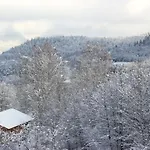 Domaine De Ribeaugoutte Ferienhaus Saint-Nabord