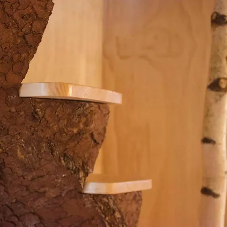 Domaine De Ribeaugoutte 度假居 圣纳博尔德