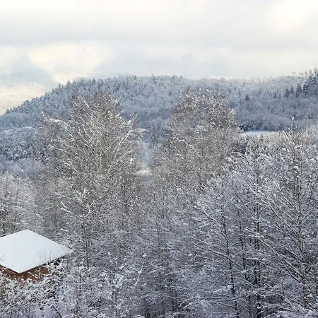 Domaine De Ribeaugoutte Feriehus Saint-Nabord