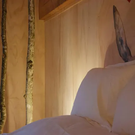 Domaine De Ribeaugoutte 圣纳博尔德