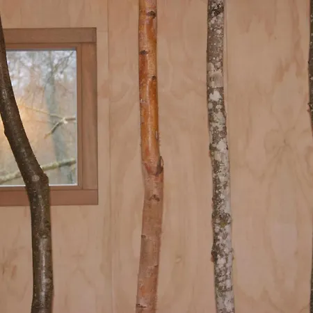 Domaine De Ribeaugoutte