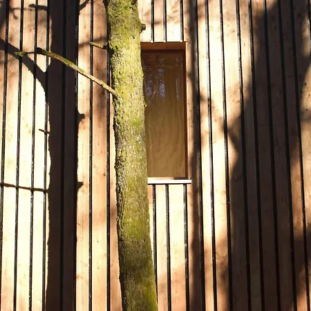 Domaine De Ribeaugoutte Feriehus Saint-Nabord