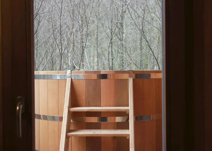 Domaine De Ribeaugoutte Saint-Nabord