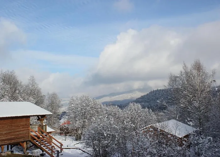 Domaine De Ribeaugoutte * 圣纳博尔德