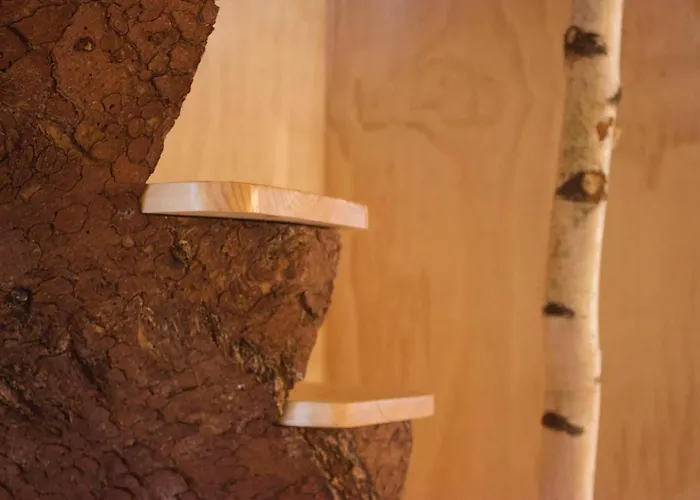 Domaine De Ribeaugoutte 度假居 圣纳博尔德