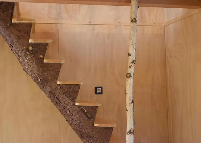 Domaine De Ribeaugoutte * Saint-Nabord