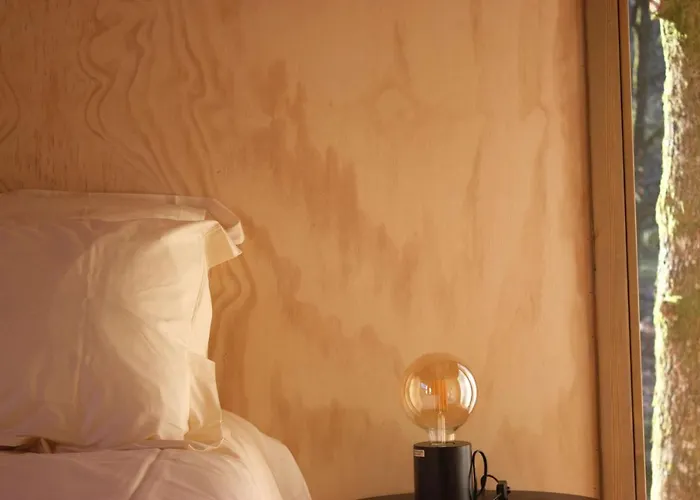 Domaine De Ribeaugoutte