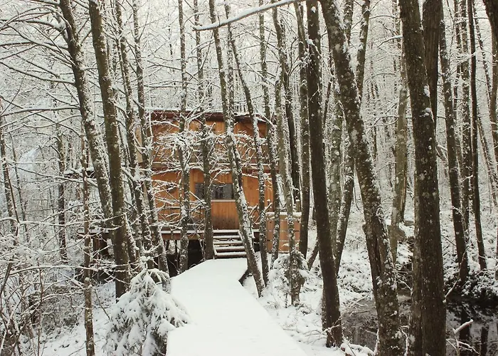 Domaine De Ribeaugoutte *