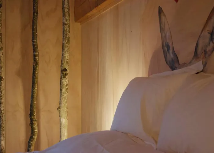 Domaine De Ribeaugoutte Saint-Nabord