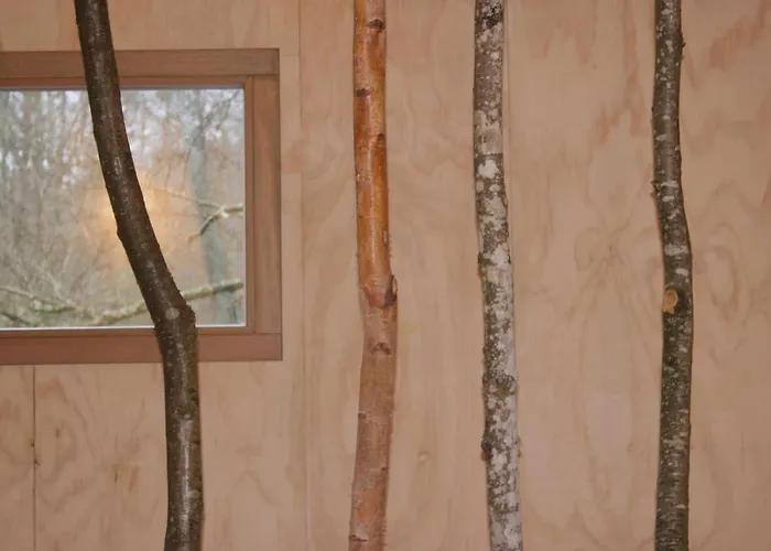 Domaine De Ribeaugoutte