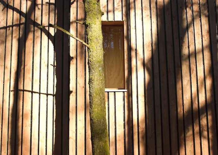 Domaine De Ribeaugoutte Prázdninový dům Saint-Nabord